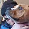 André Filipe